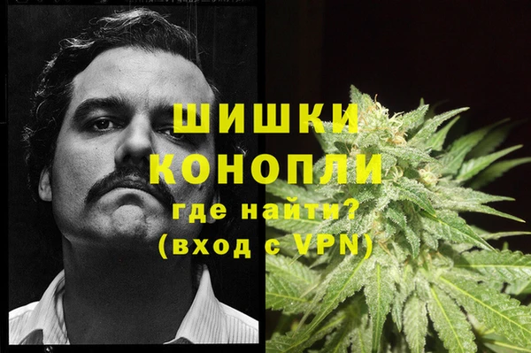 молекула духа Белоозёрский