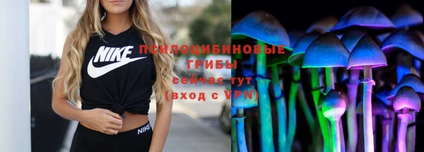 молекула духа Белоозёрский
