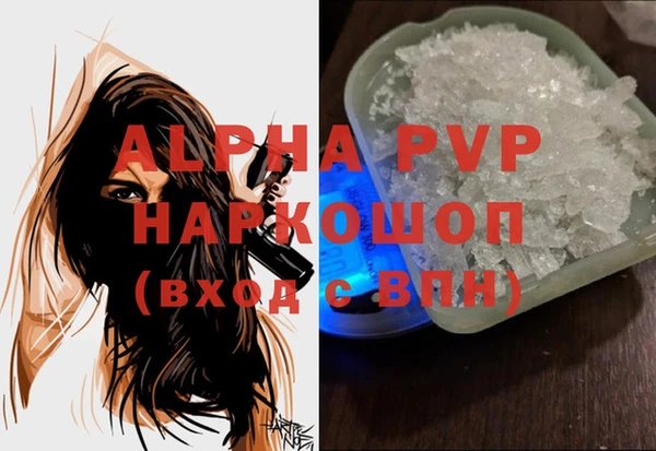 молекула духа Белоозёрский