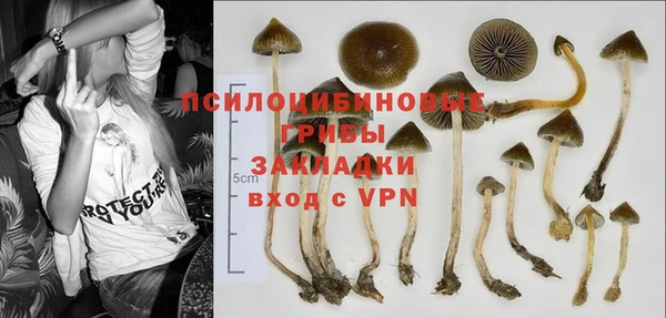 дживик Белокуриха