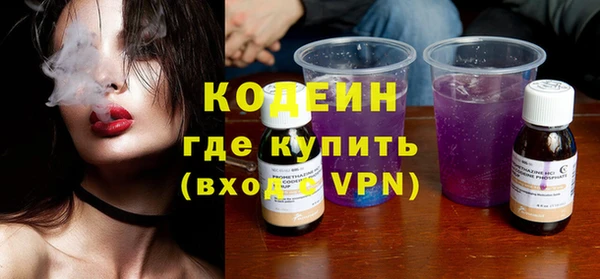 дживик Белокуриха