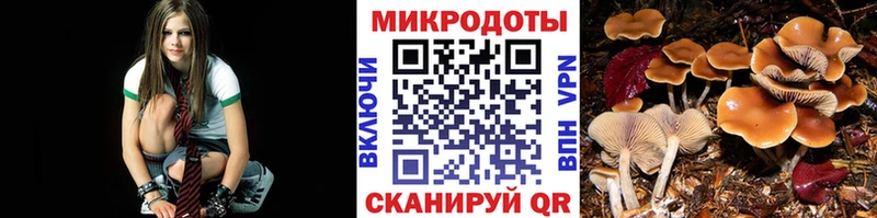 Псилоцибиновые грибы GOLDEN TEACHER  Купить где  Краснокамск 